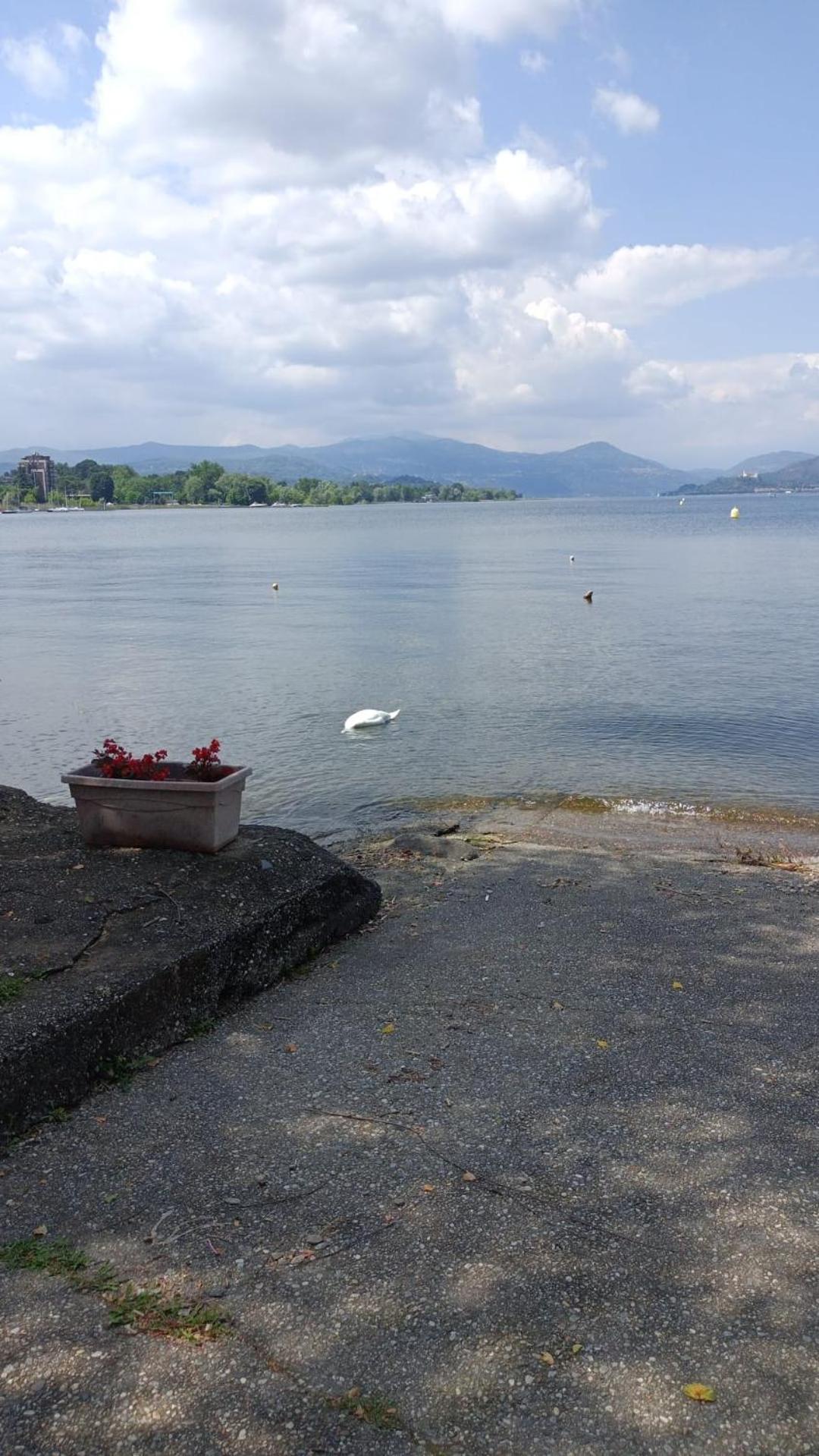 House Benedetta & Gloria On The Lake Castelletto sopra Ticino Exterior foto