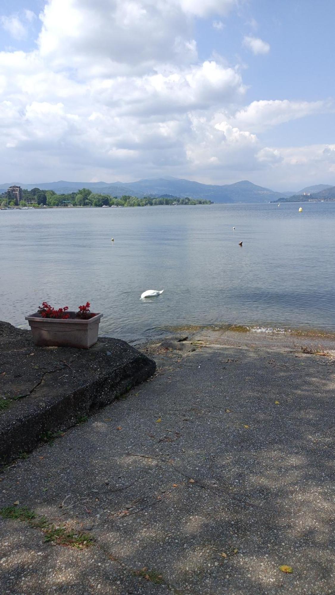 House Benedetta & Gloria On The Lake Castelletto sopra Ticino Exterior foto